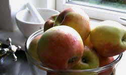 Annette Pr�stegaard