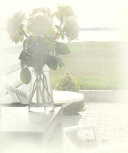 Rosenbuket.  Foto: Annete Pr�stegaard