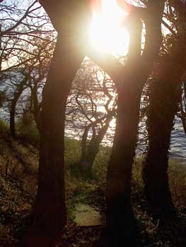 Amstrup. Foto: Annette Pr�stegaard